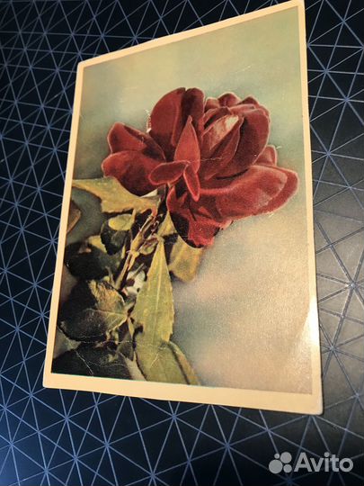 Открытки винтажные СССР 50-е, 60-е, 80-е