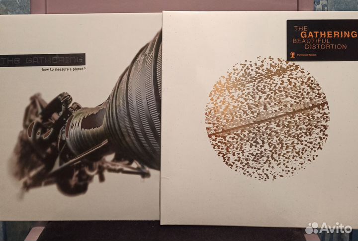 Пластинка The gathering