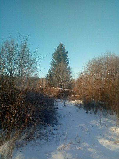 Участок 16,8 сот. (ИЖС)