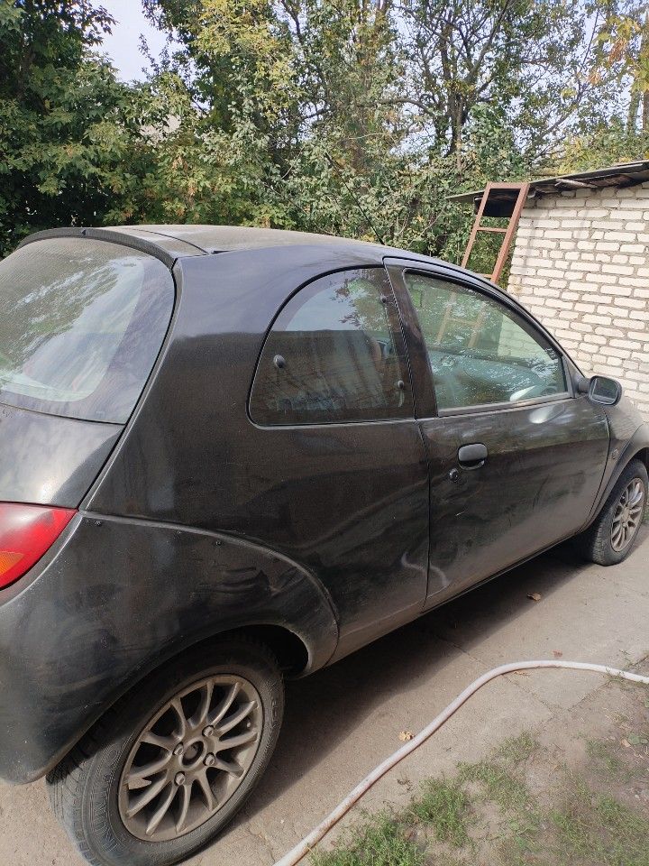 Ford Ka: фото из отзыва