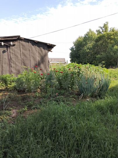 Дом 34 м² на участке 14 сот.