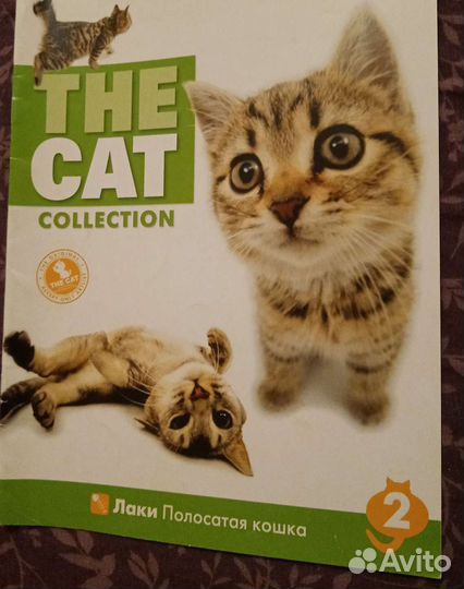 Журнал The cat collection