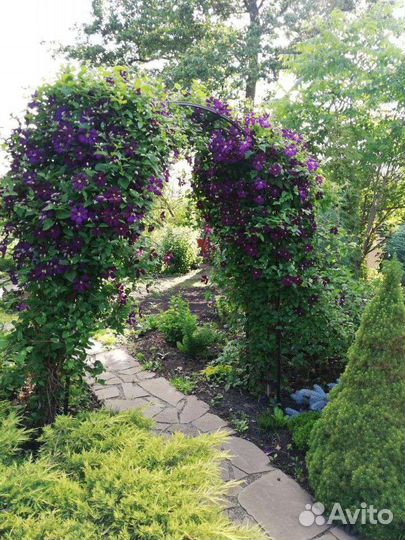 Арка садовая