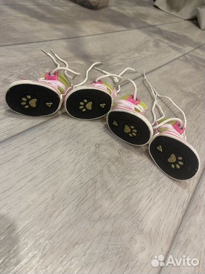 Кеды для маленькой собачки