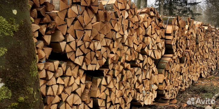 Дрова подсушенные