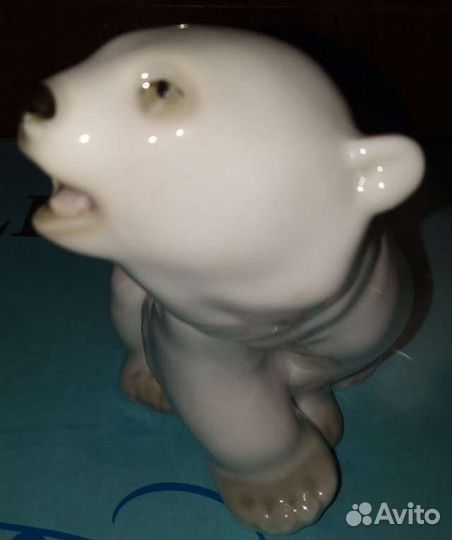 Белый медведь