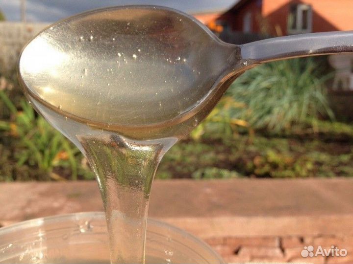 Свежий липовый мед оптом