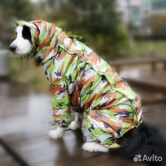 Комбенизон для собак. Дождевик