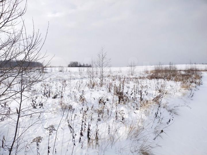 Участок 8,2 сот. (СНТ, ДНП)