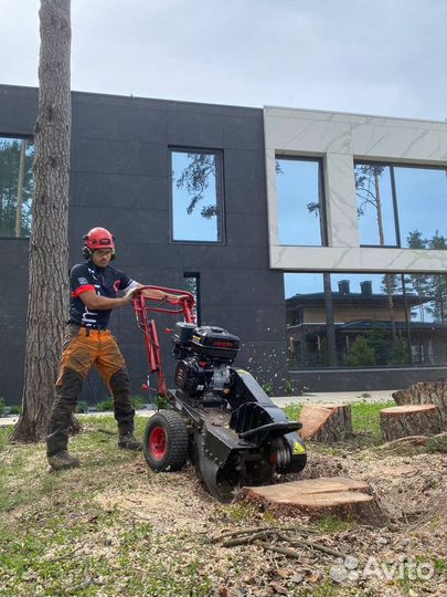 Удаление пней, пней корчевание