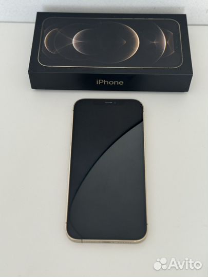 iPhone 12 Pro Max, 256 ГБ
