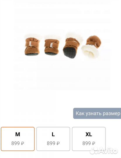 Одежда для собак