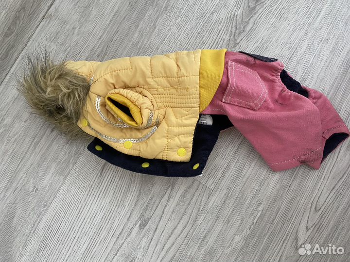 Одежда для собак новая