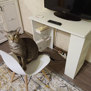 Стол + стул в идеальном состоянии