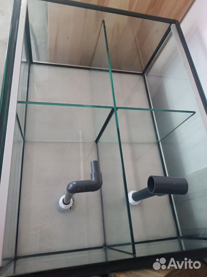 Аквариум для устриц