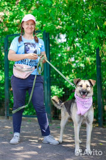 Валечка-добродушная и милая ищет дом