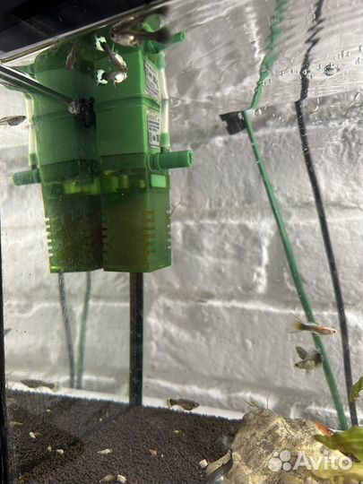 Аквариум с рыбками