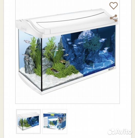 Аквариум