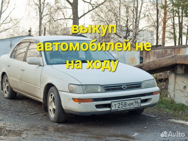 Выкуп авто после дтп