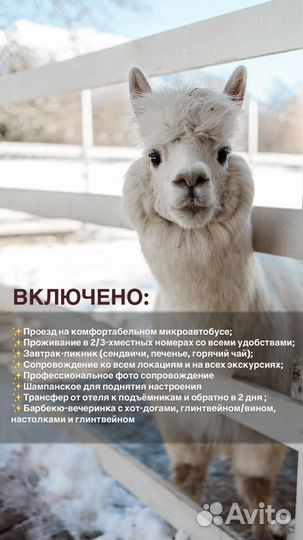 Тур в Архыз 21-22 декабря из Ростова