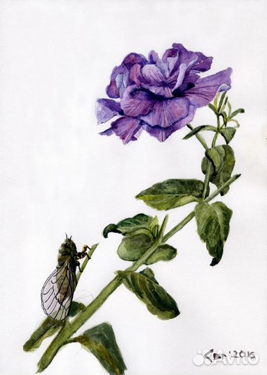 Цветочные картины акварелью