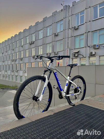 Corratec X-vert 650B expert