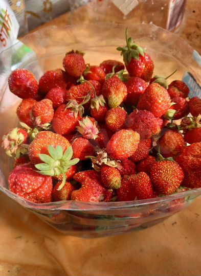 Дача 38 м² на участке 10 сот.