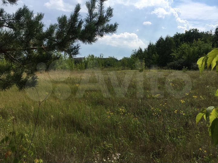 Участок 10 сот. (СНТ, ДНП)