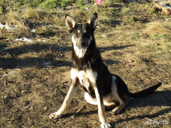 Катенька ищет любящую семью