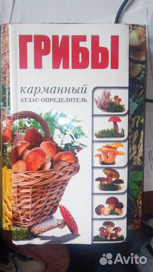 Книги по медицине 0