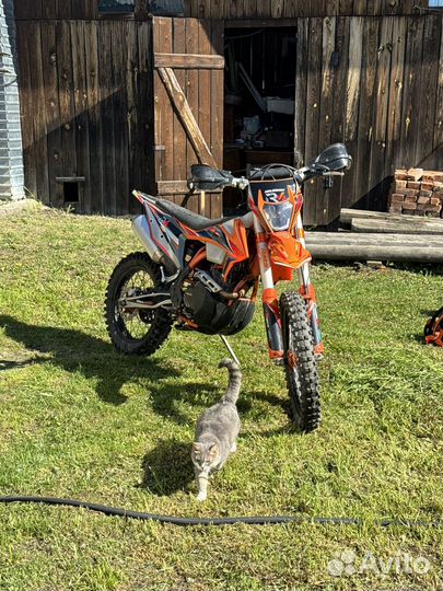 Regulmoto Holeshot 2023