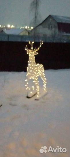 Большой светящийся Олень