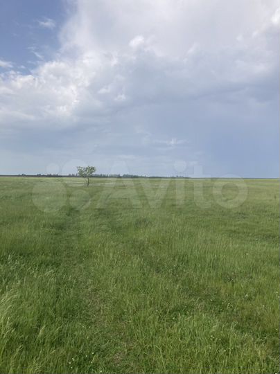 Участок 140 га (СНТ, ДНП)