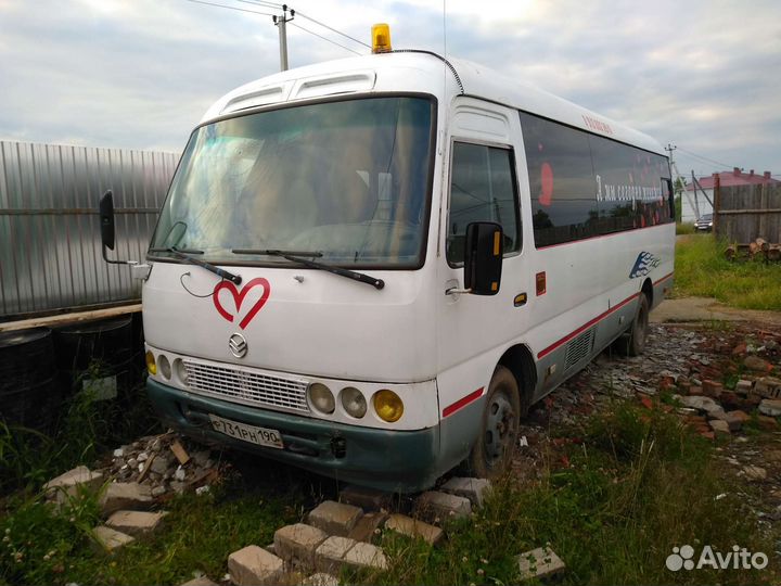 Голд дракон