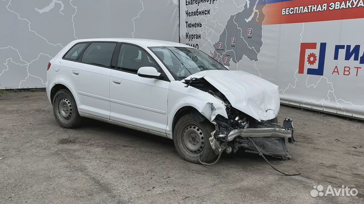 Амортизатор передний правый Audi A3 (8P) 1K0413031