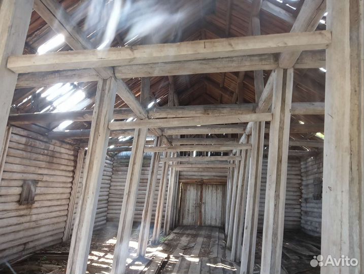 Сруб дома из бревна