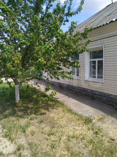 Дом 51 м² на участке 76 сот.