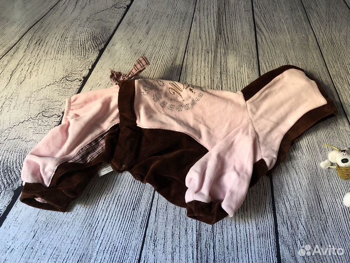 Одежда для собак