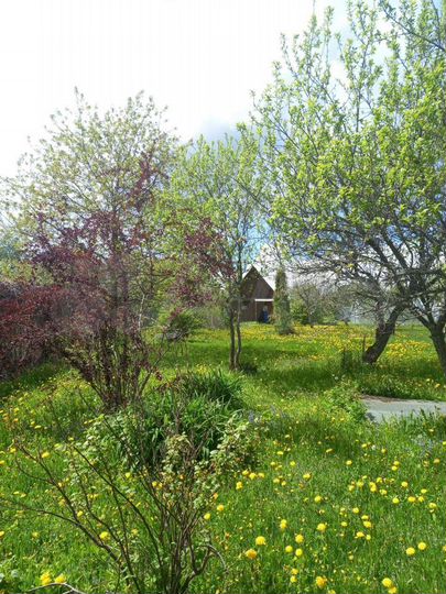 Участок 33 сот. (ИЖС)