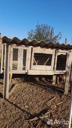 Клетка для кролика