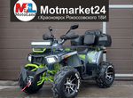 Квадроцикл Motoland Wild Track 200 X Pro