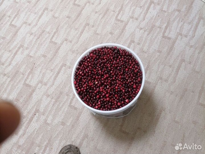 Клюква свежая