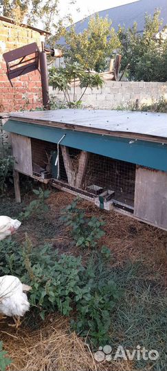 Клетка для кролика