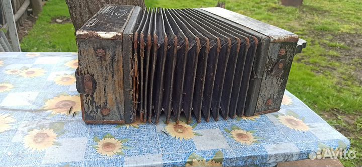 Гармонь Шуйская