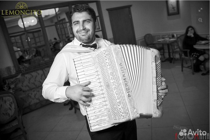 Аккордеонист. Известные песни и мелодии