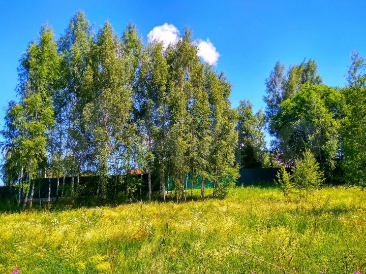 Участок 20 сот. (СНТ, ДНП)