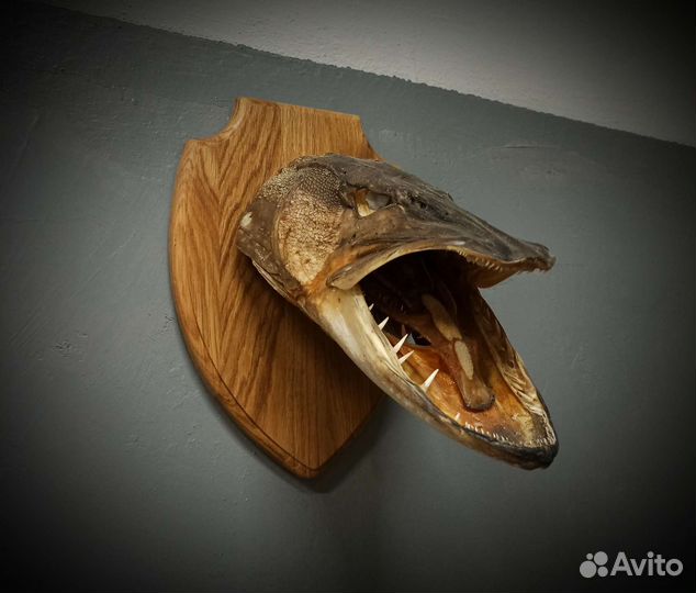 Медальон для трофеев