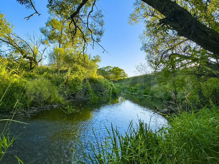 Участок 21 га (СНТ, ДНП)