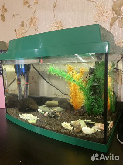 Аквариум