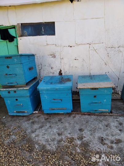 Пчелиные ульи